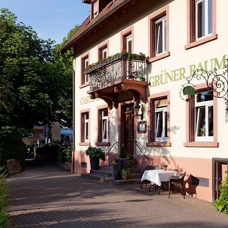 Hotel & Restaurant Gruener Baum Merzhausen Exterior foto