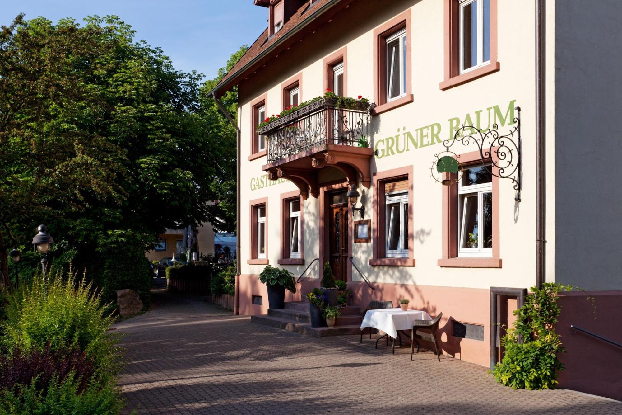 Hotel & Restaurant Gruener Baum Merzhausen Exterior foto