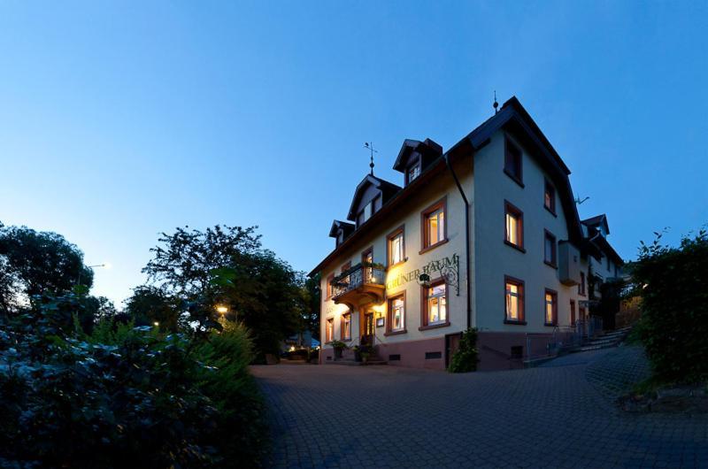 Hotel & Restaurant Gruener Baum Merzhausen Exterior foto